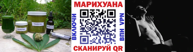 где найти наркотики Светлогорск omg tor Cannafood марихуана
