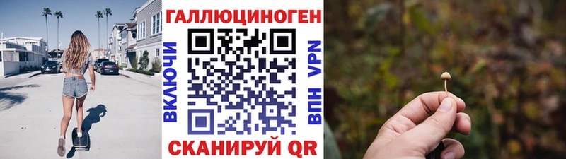 МЕГА сайт  Светлогорск  Псилоцибиновые грибы мицелий 